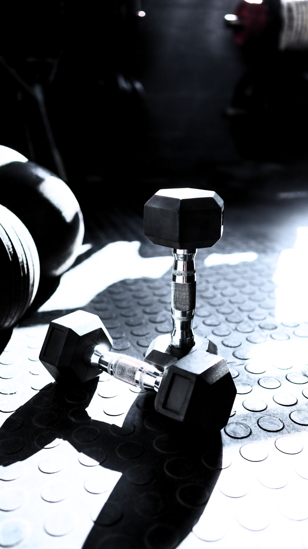 365 Fitness Favorites: Essential Gear for Year-Round Results