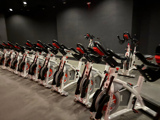 Schwinn AC Performance Plus Indoor Cycle Set (Remanufactured)