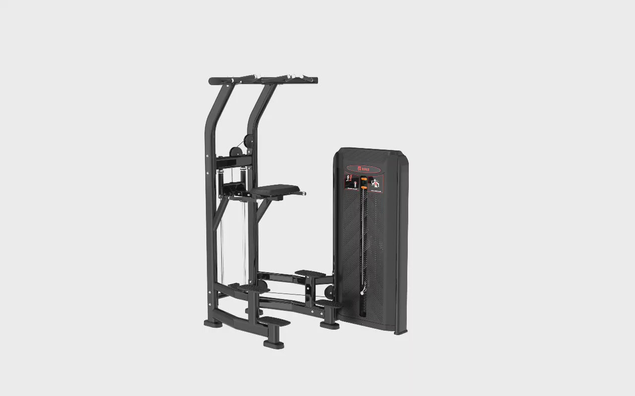 BUILD Fractal Series Assisted Chin Up / Dip (New)