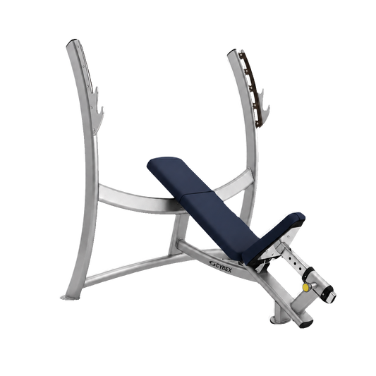 Cybex Olympic Incline Bench silver frame dark navy upholstery transparent