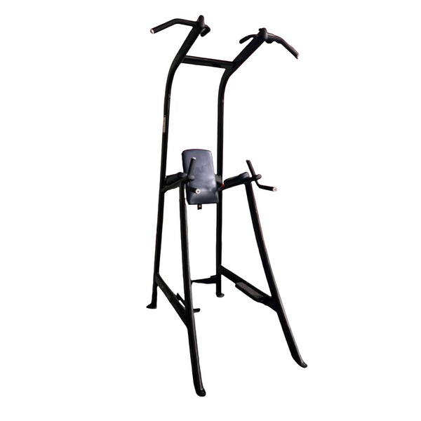 Cybex Prestige Platinum VKR Dip Pull-Up Power Tower (Remanufactured)