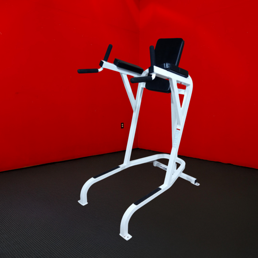Cybex VKR Dip & Leg Raise (Remanufactured)