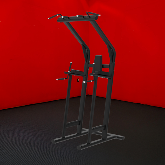 BUILD Chin Dip Leg Raise VKR Station (New)