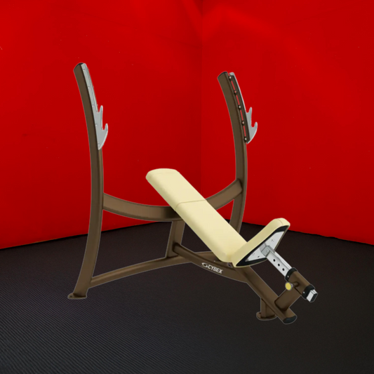 Cybex Olympic Incline Bench (Refurbished)