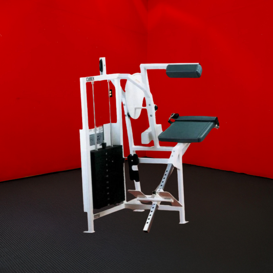 Cybex Classic Back Extension (Remanufactured)