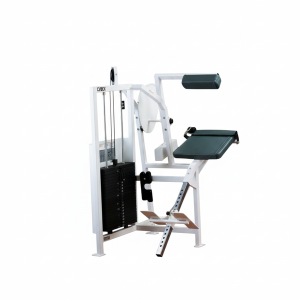 Cybex Classic Back Extension (Remanufactured)