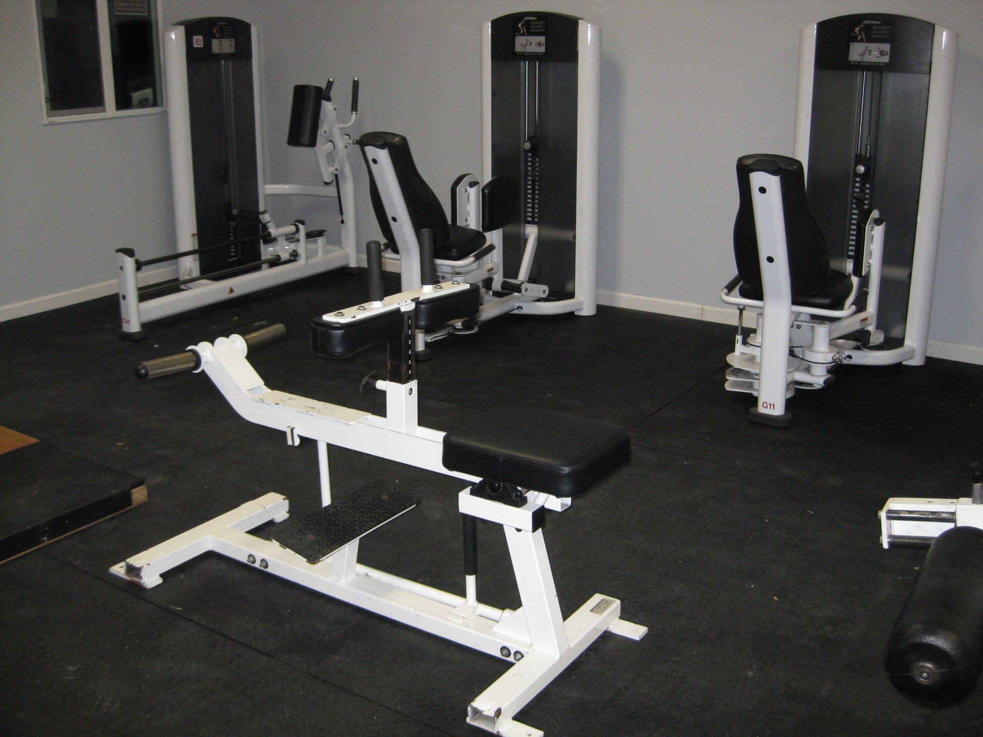 Turn-Key Gym Package (Hammer Strength, Life Fitness, Cybex, Nautilus, Star Trac, Panatta) (As-Is)