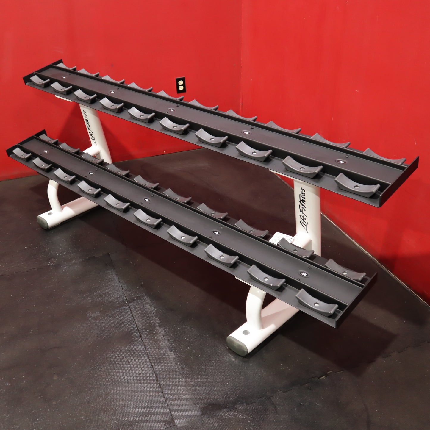 Life Fitness 5-50 pound 2 Tier Dumbbell Rack (Refurbished)