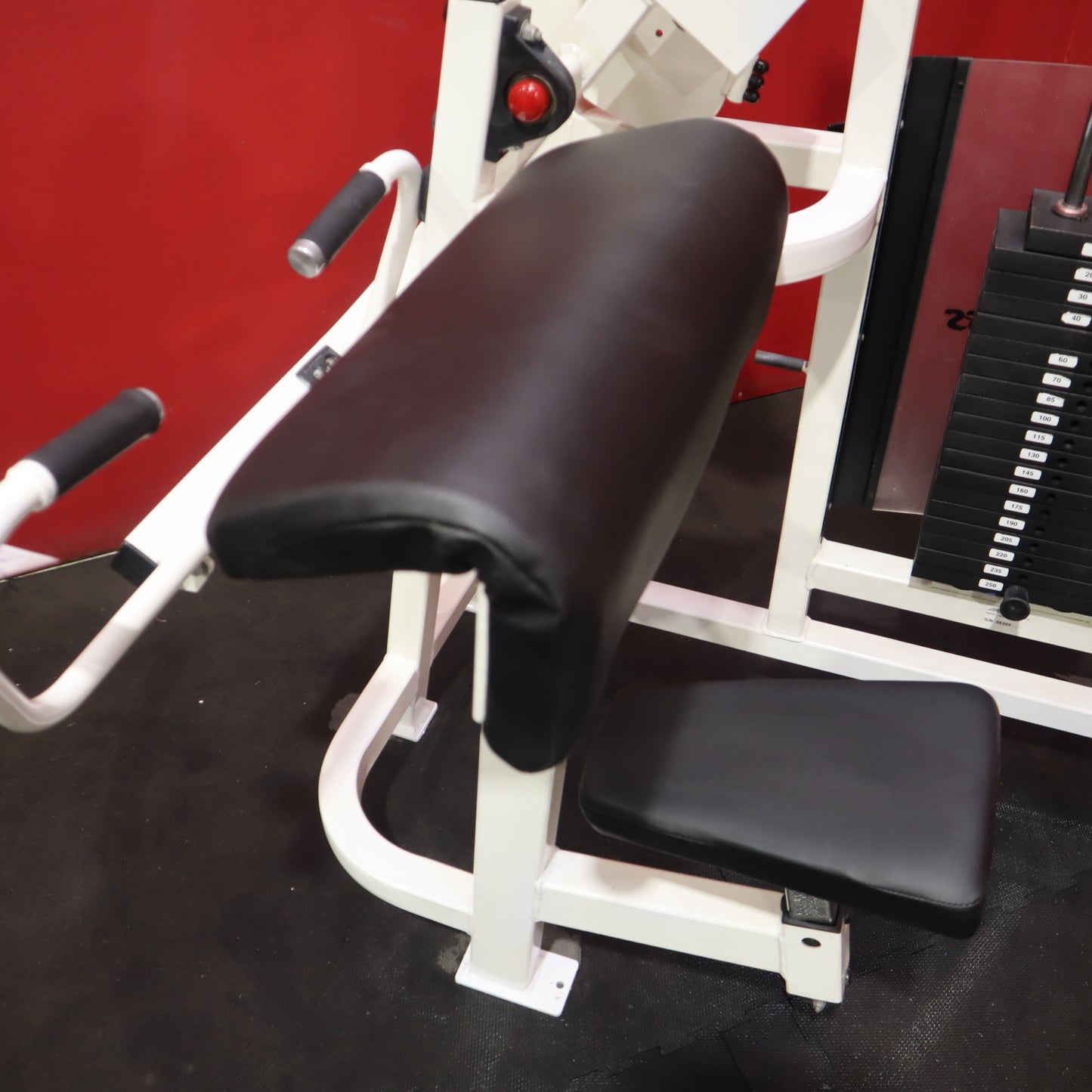 Life Fitness Arm Curl (Refurbished)