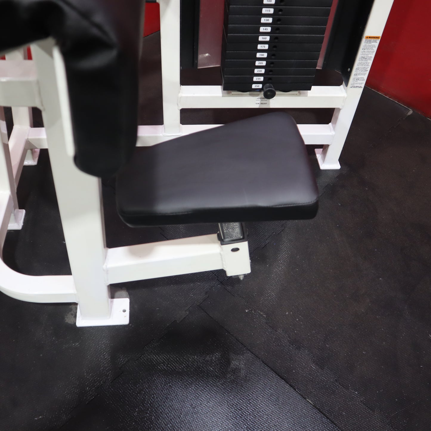 Life Fitness Arm Curl (Refurbished)