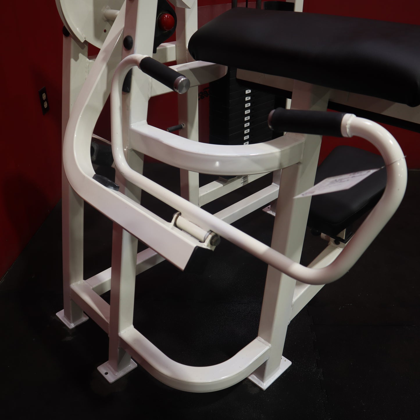 Life Fitness Arm Curl (Refurbished)