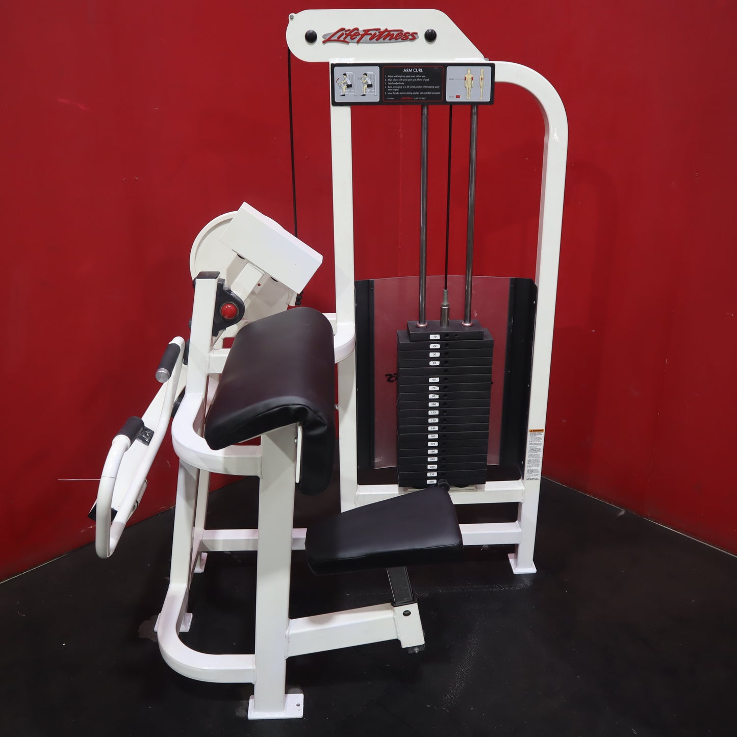 Life Fitness Arm Curl (Refurbished)