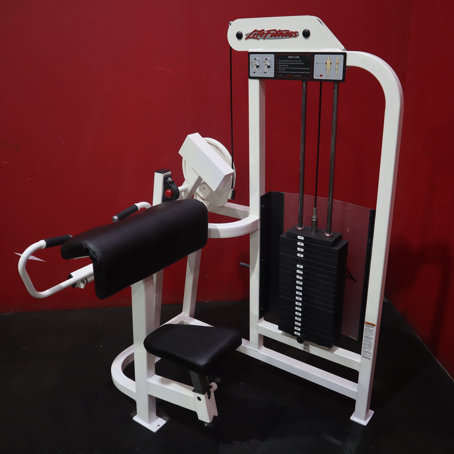 Life Fitness Arm Curl (Refurbished)