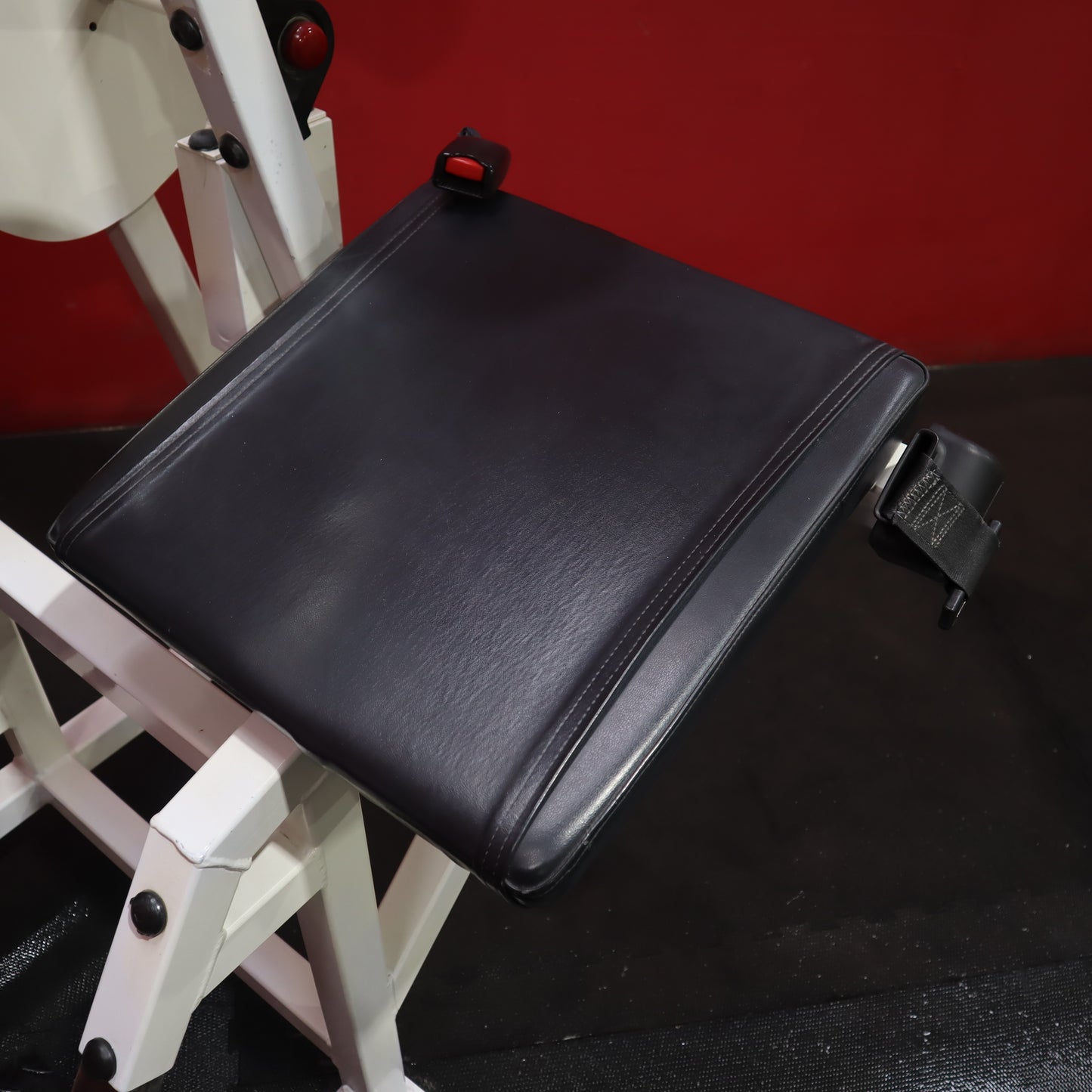 Life Fitness Pro Low Back Extension (Refurbished)