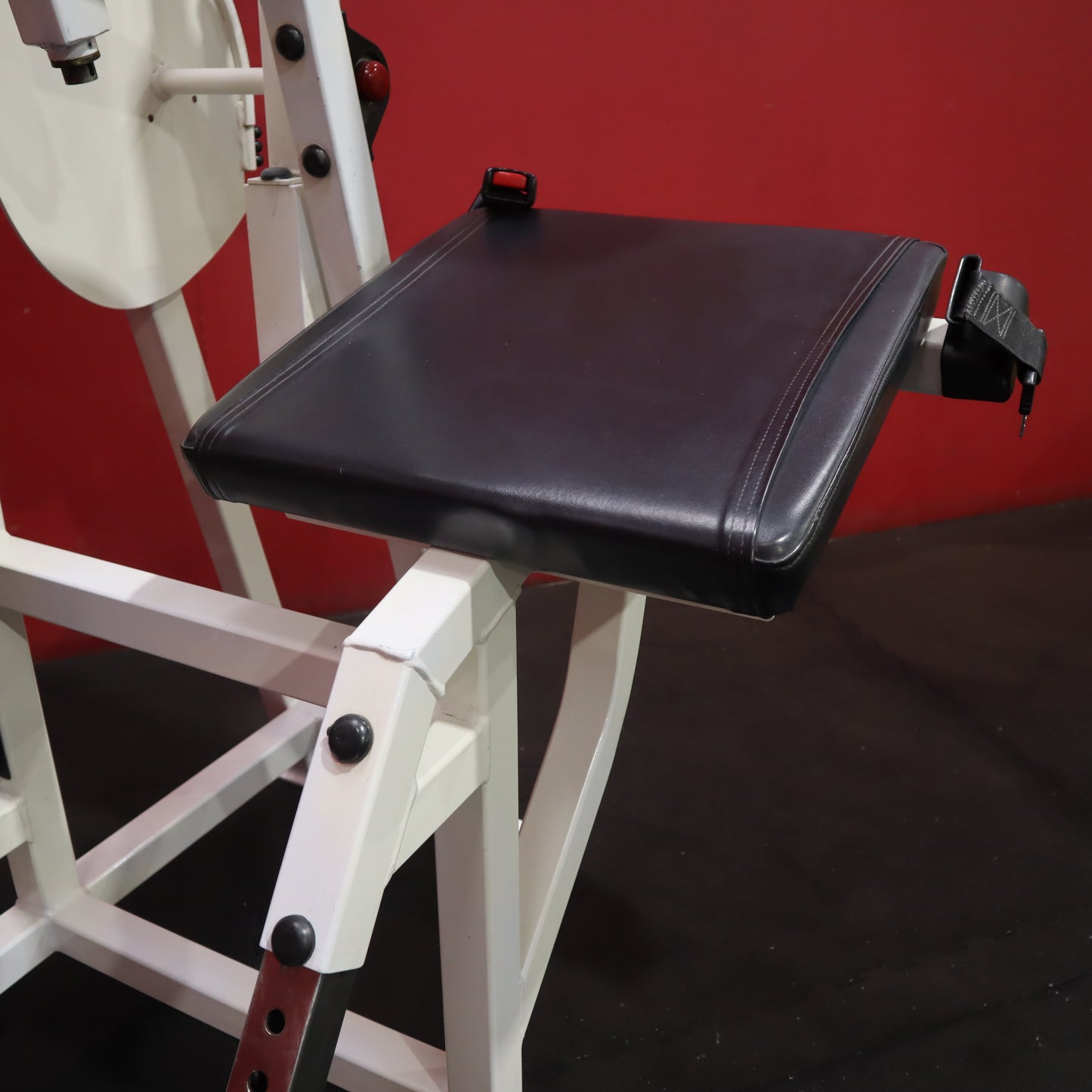 Life Fitness Pro Low Back Extension (Refurbished)