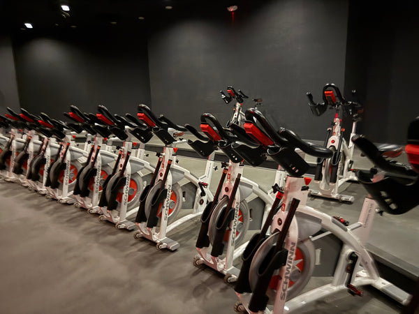 Schwinn AC Performance Plus Indoor Cycle Set (Used)