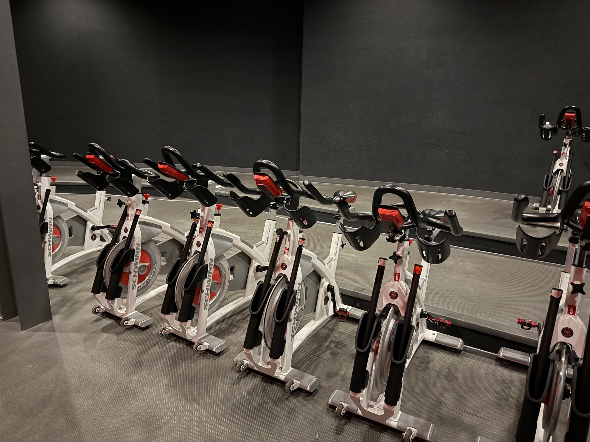 Schwinn AC Performance Plus Indoor Cycle Set (Used)