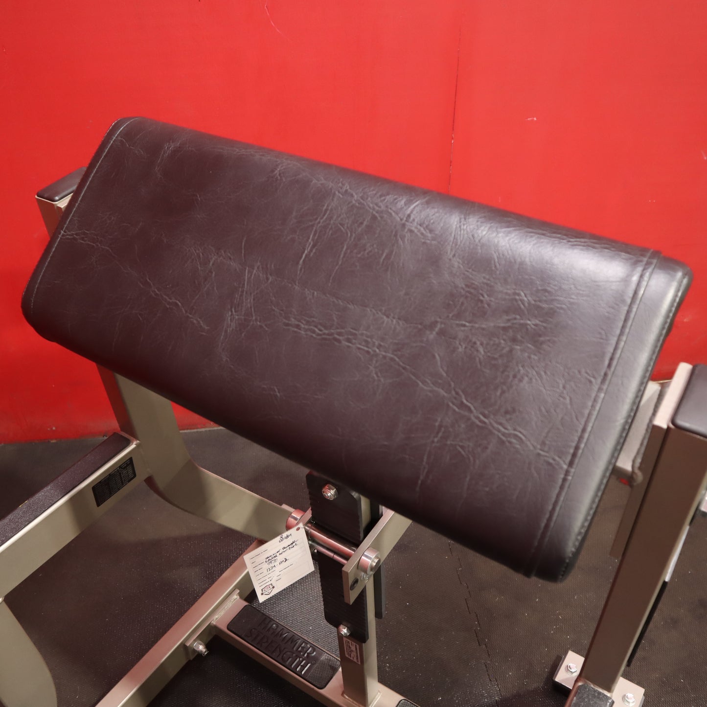 Hammer Strength Seated Arm Curl (Refurbished)