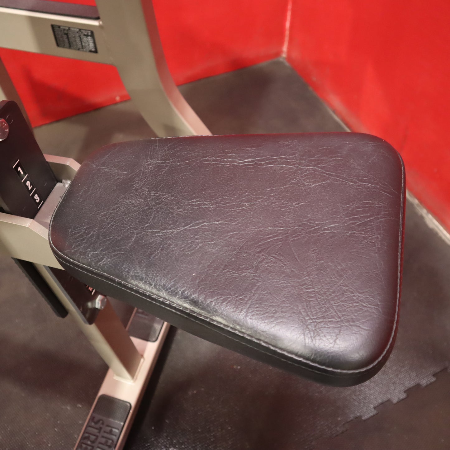 Hammer Strength Seated Arm Curl (Refurbished)