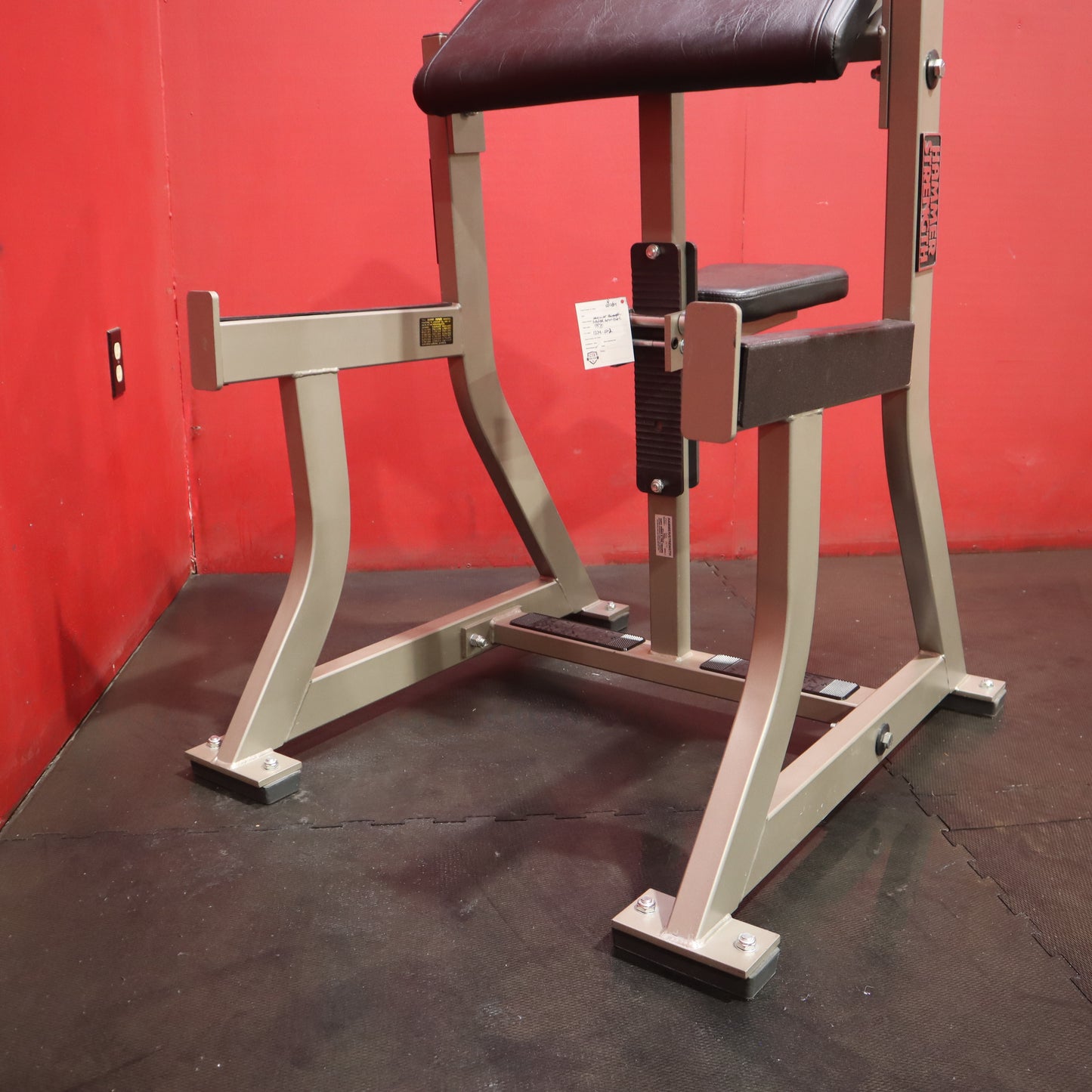 Hammer Strength Seated Arm Curl (Refurbished)