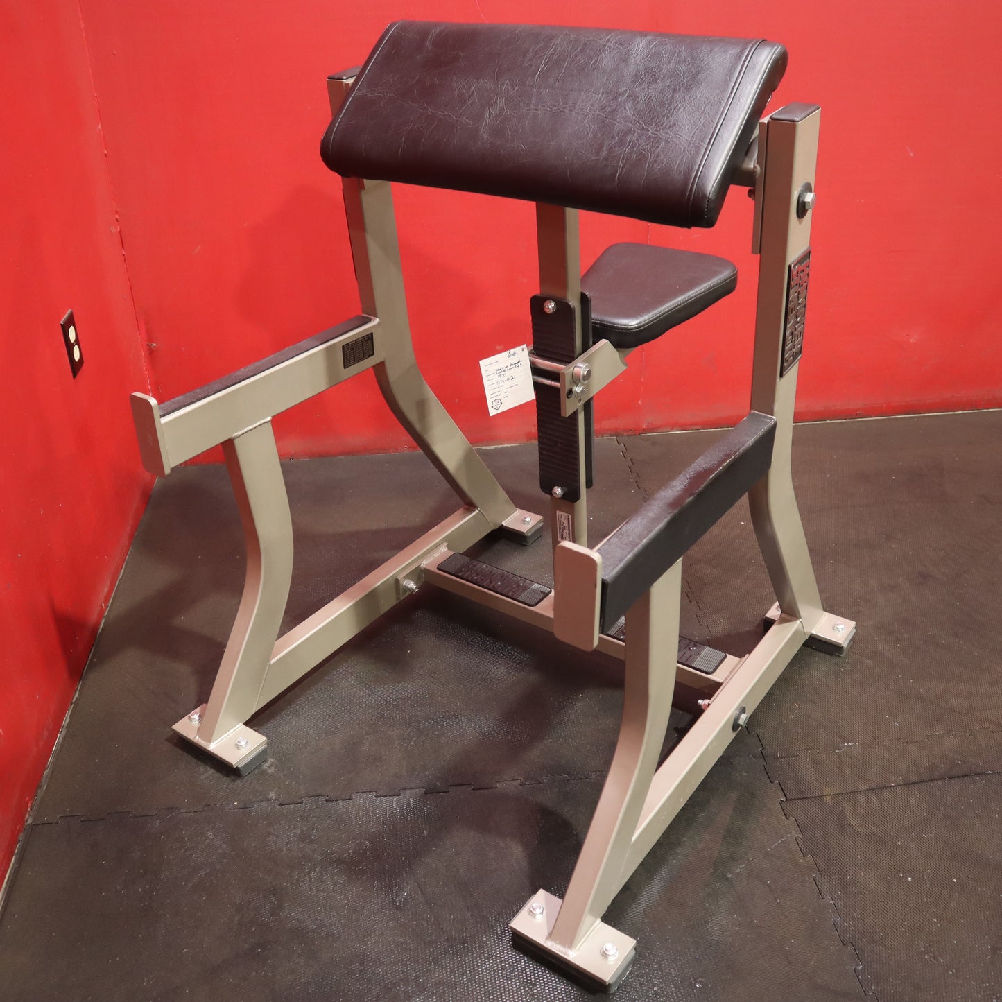 Hammer Strength Seated Arm Curl (Refurbished)