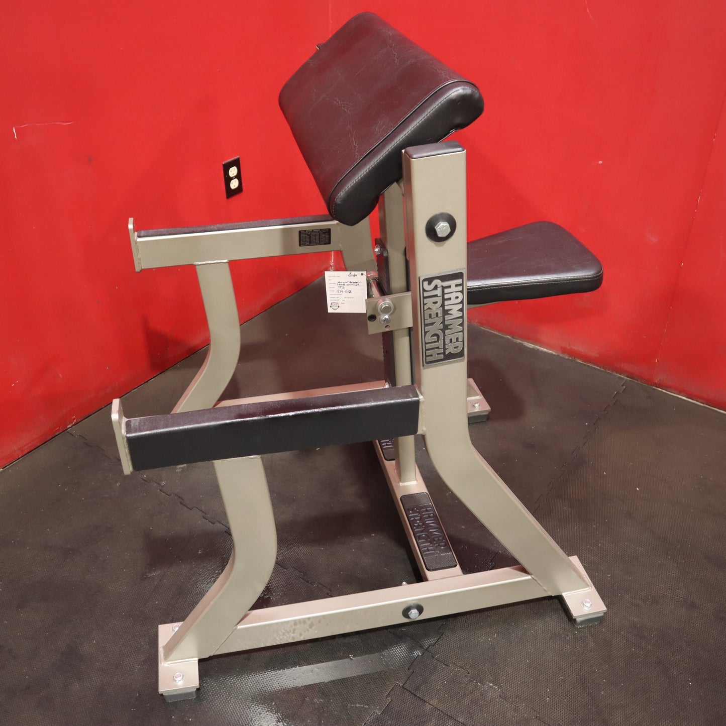 Hammer Strength Seated Arm Curl (Refurbished)