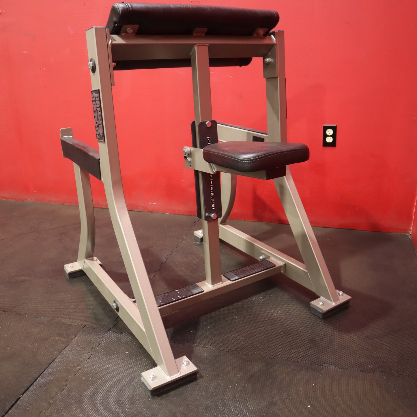 Hammer Strength Seated Arm Curl (Refurbished)