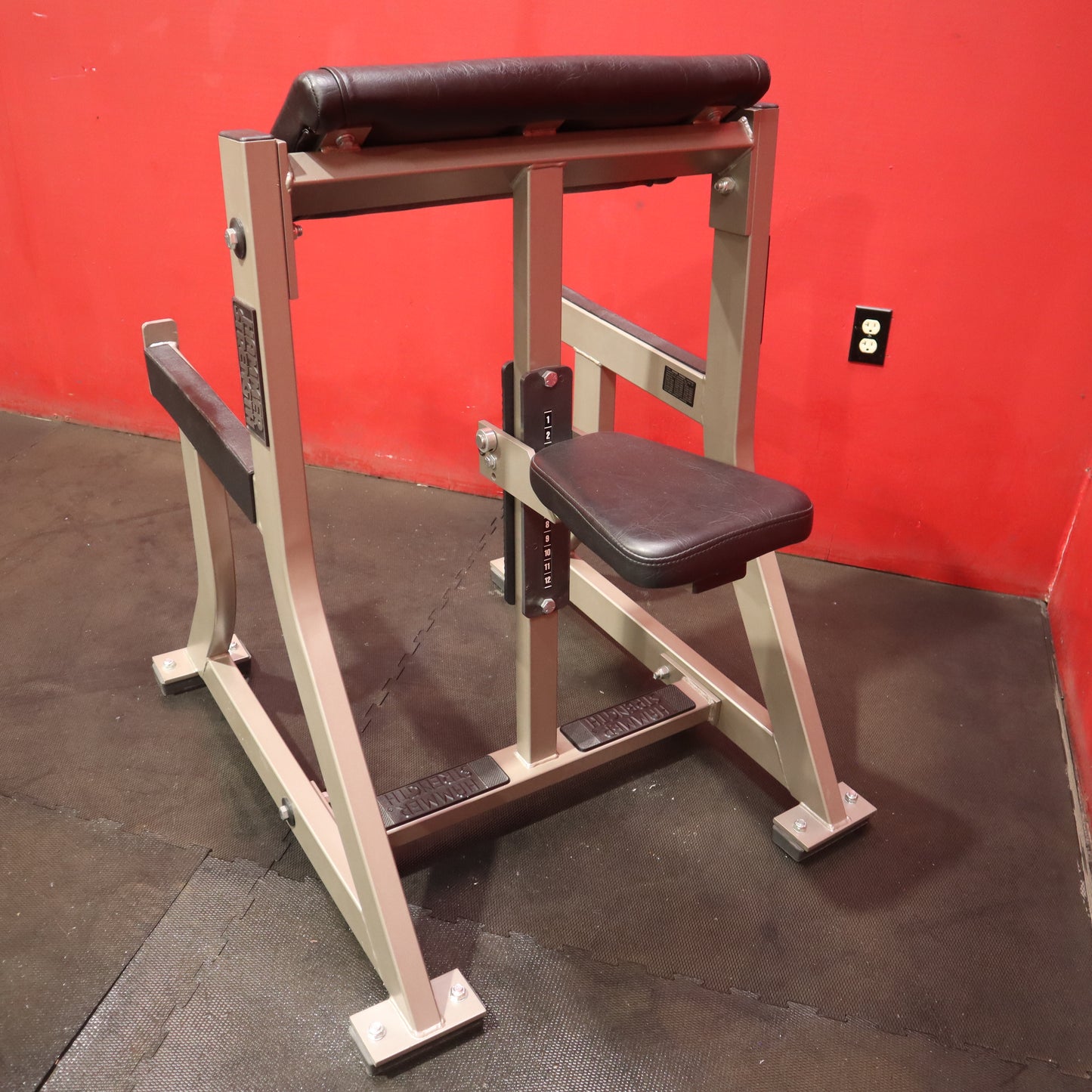 Hammer Strength Seated Arm Curl (Refurbished)