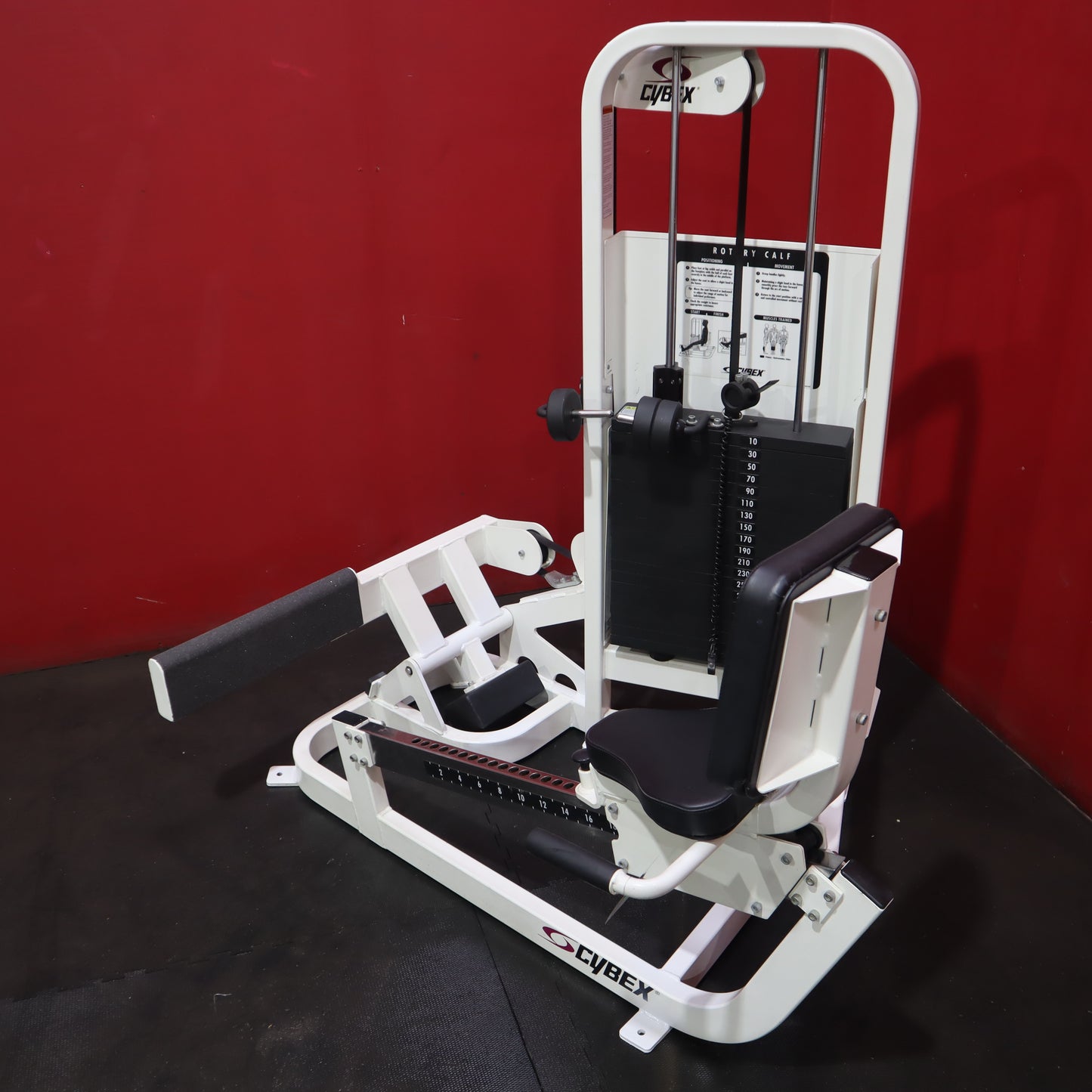 Cybex Rotary Calf (Refurbished)