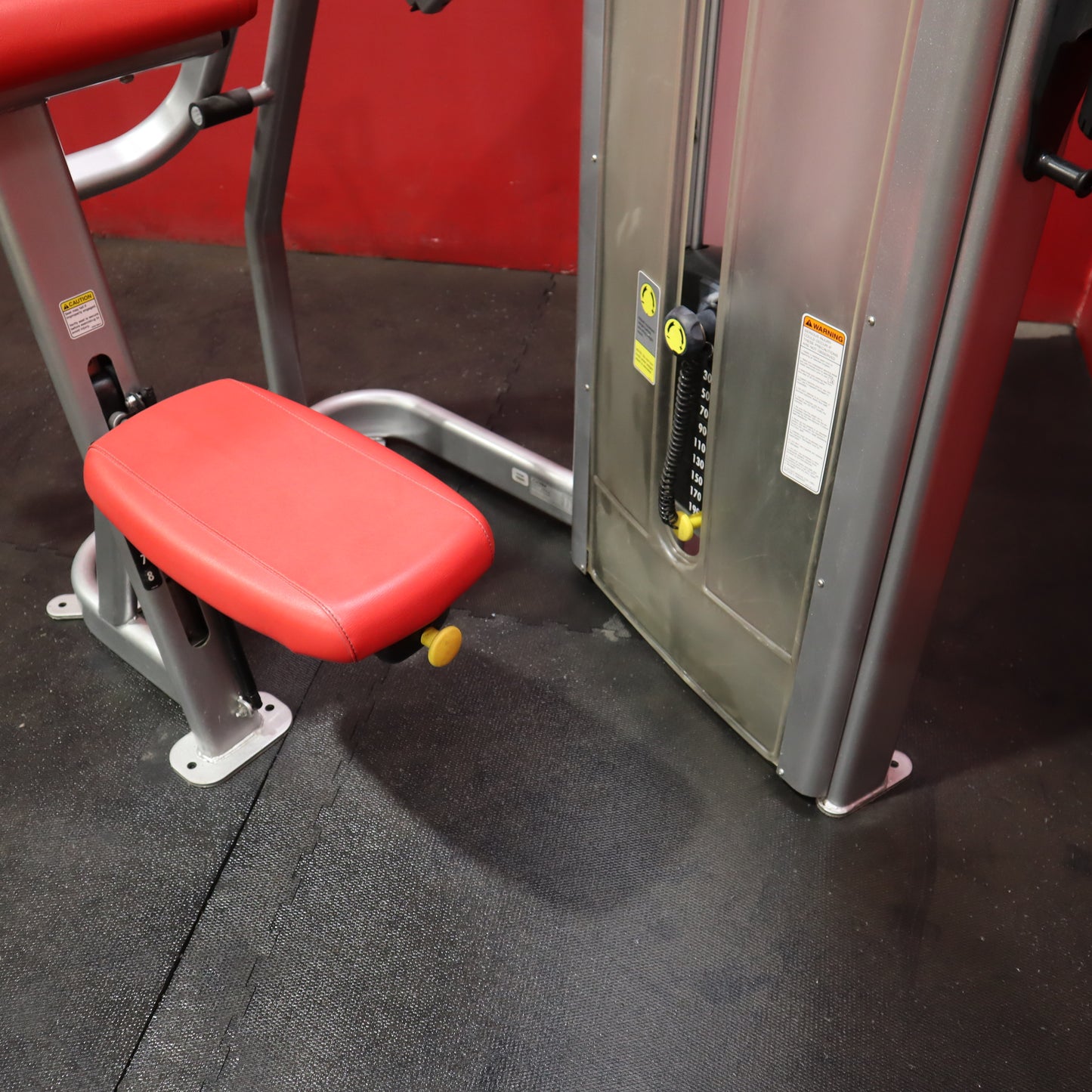 Cybex Eagle Arm Curl (Refurbished)