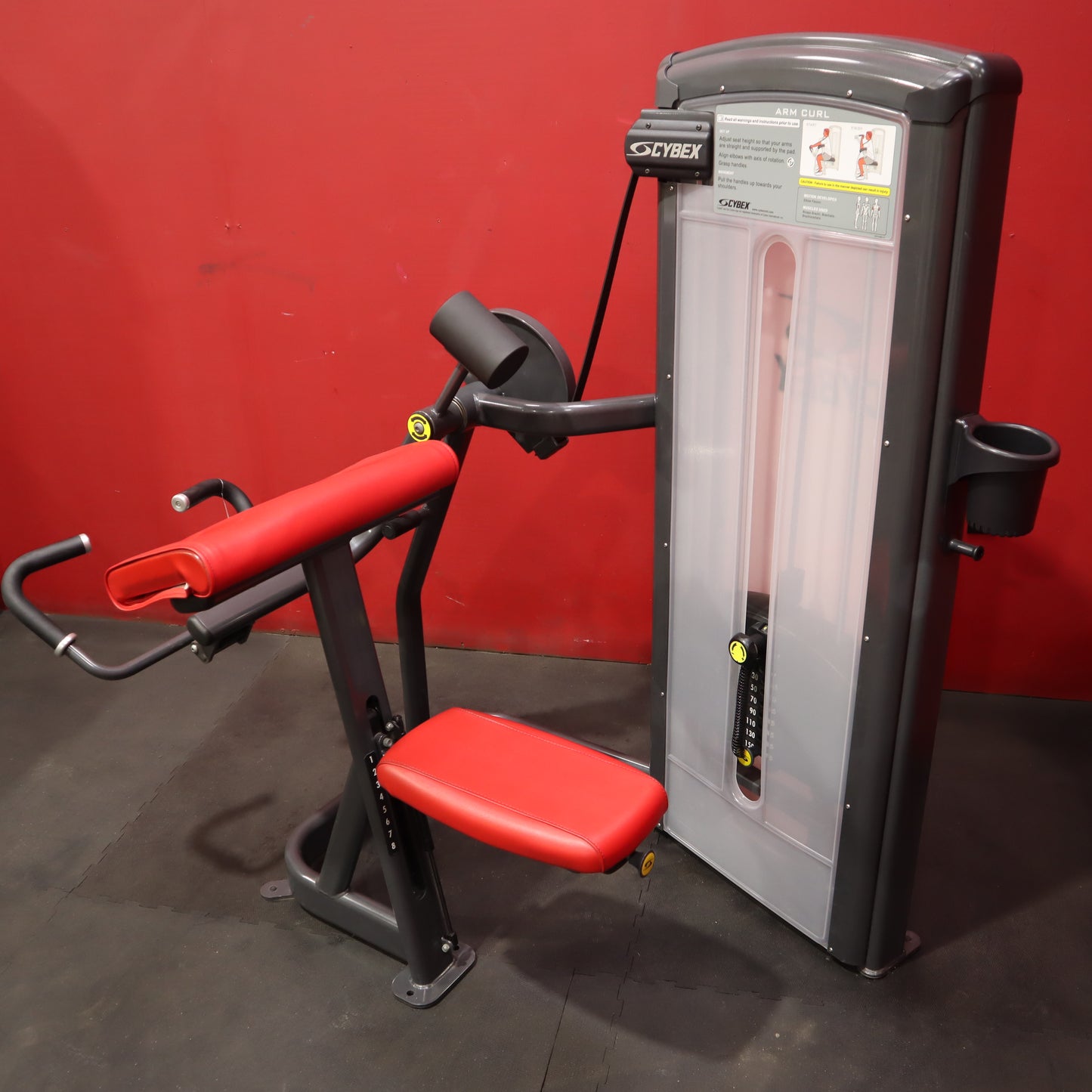 Cybex VR3 Arm Curl (Refurbished)