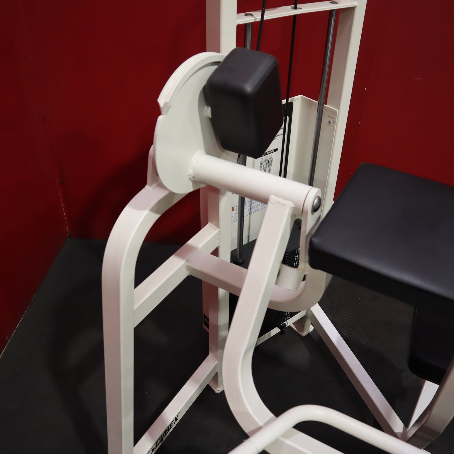 Cybex VR2 Arm Curl (Refurbished)