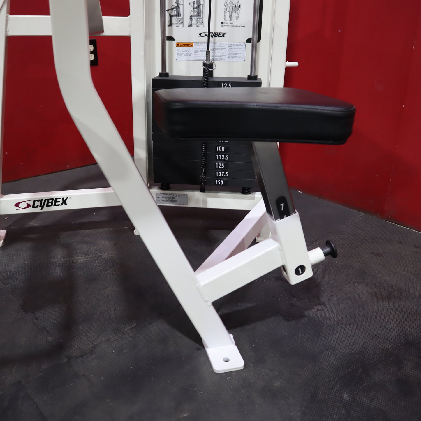 Cybex VR2 Arm Curl (Refurbished)