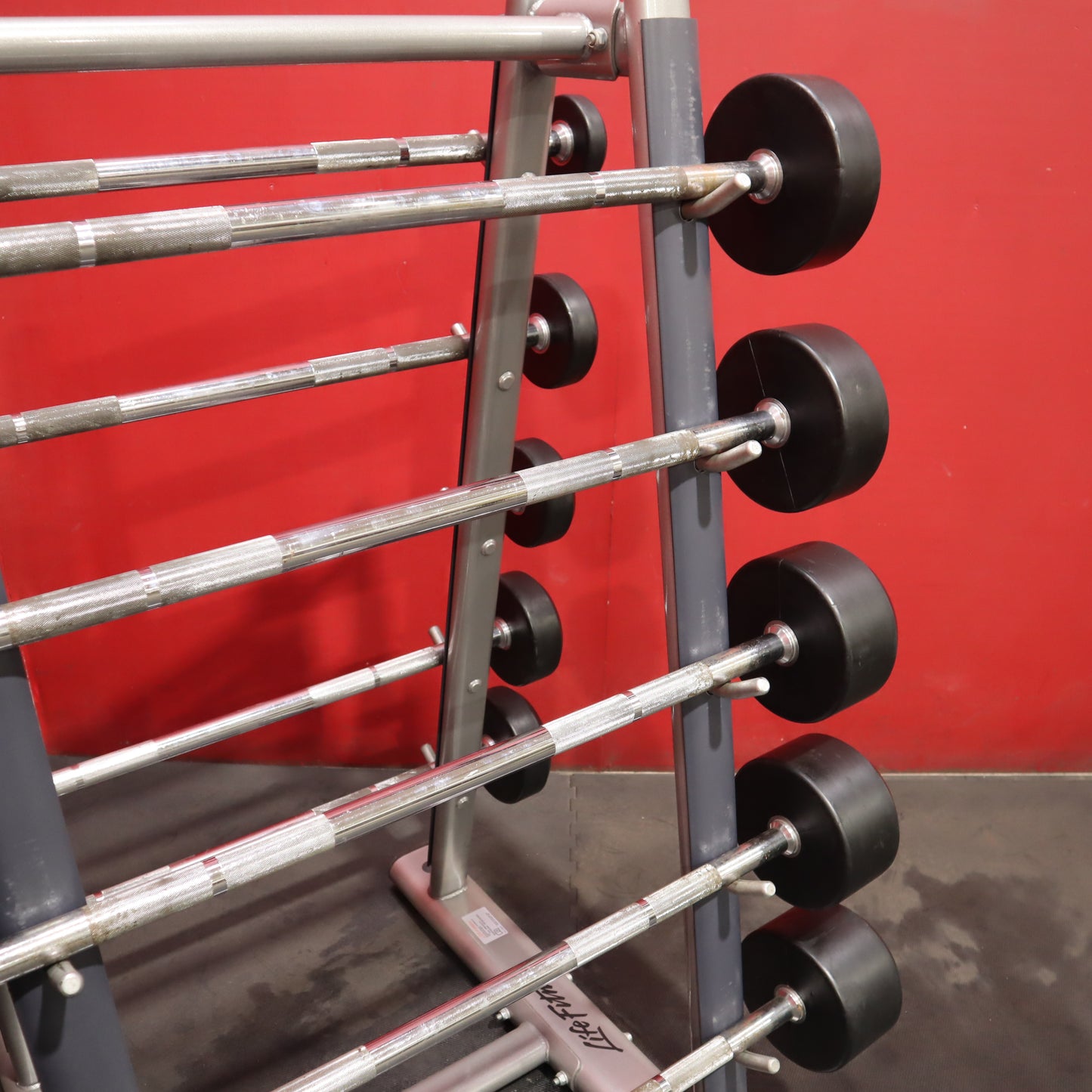 Life Fitness Barbell Tree w/ 20-110lb Set Barbells (Refurbished)