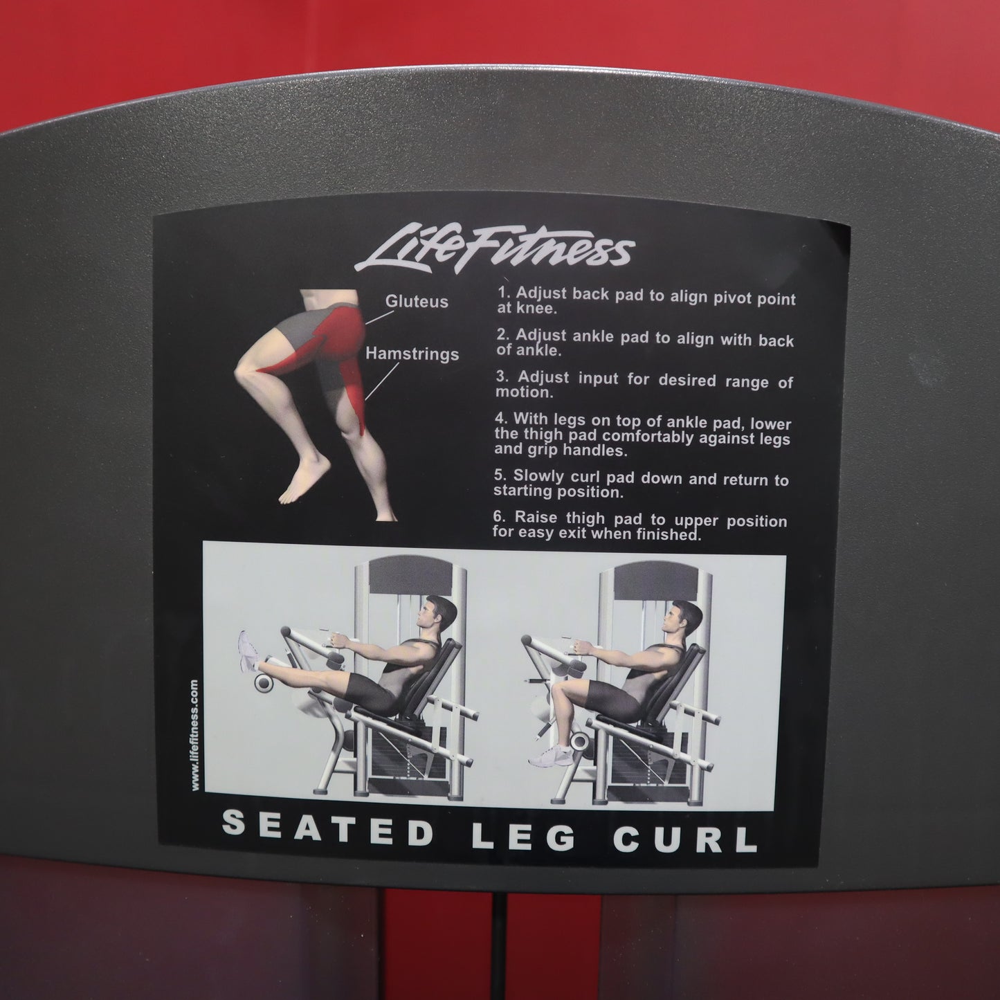 Life Fitness Signature Series Seated Leg Curl (Reacondicionado)
