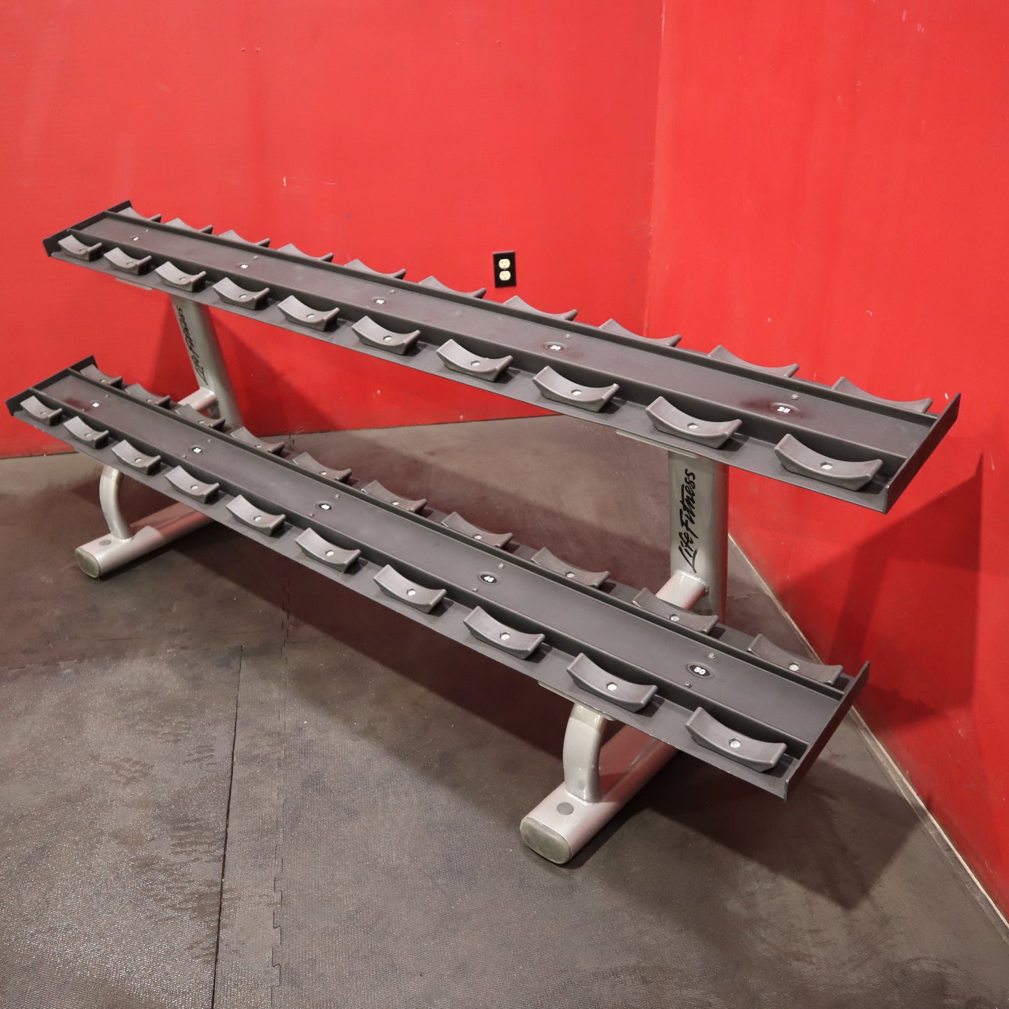 Life Fitness 5-50 pound 2 Tier Dumbbell Rack w/ Saddles (Refurbished)