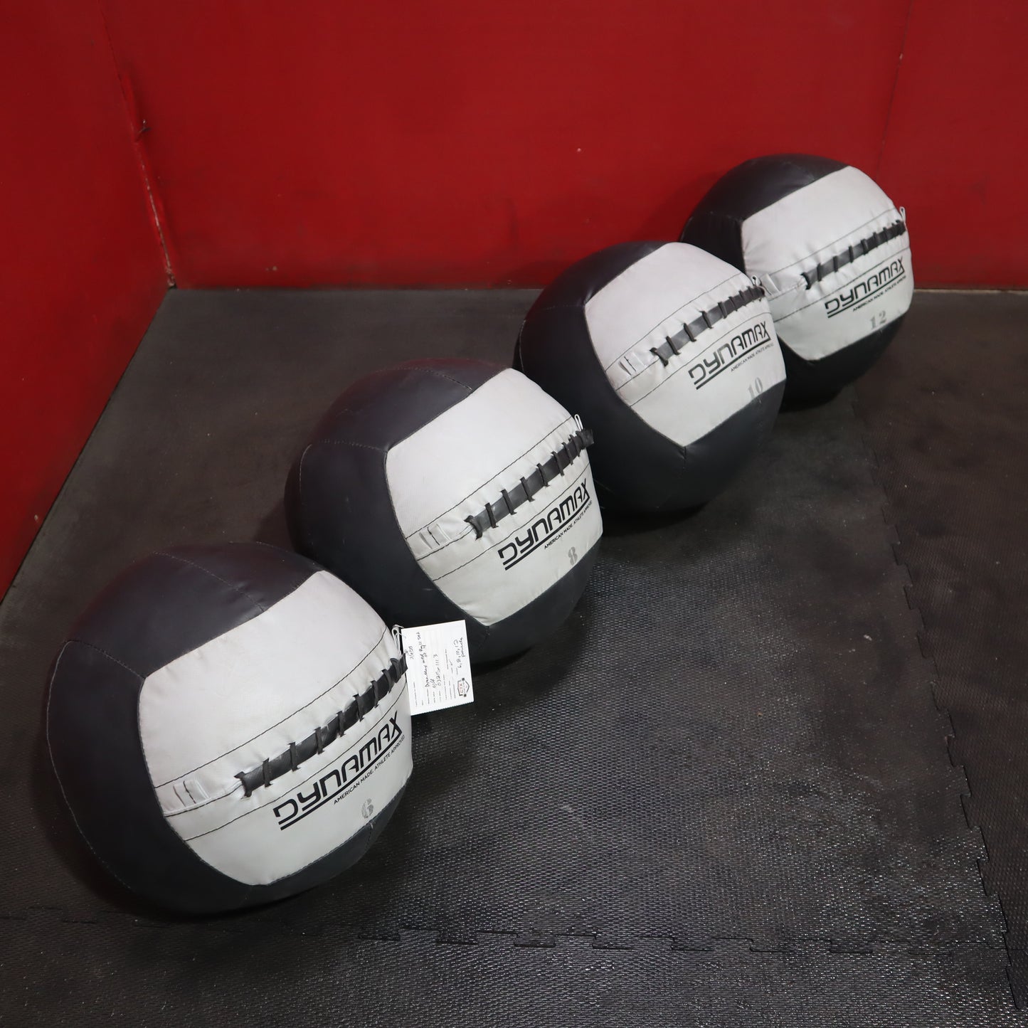 Dynamax Medicine Ball Set (Used)