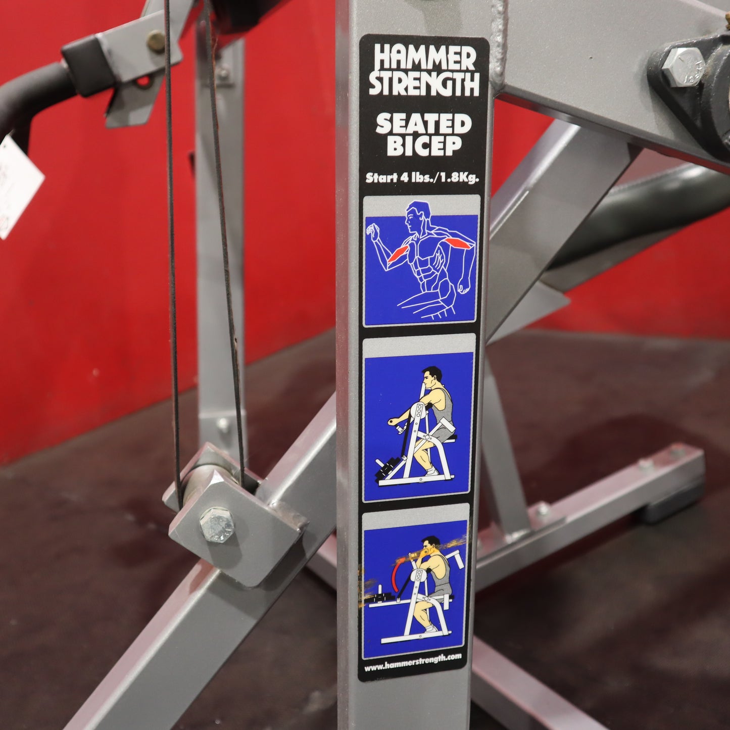 Hammer Strength Seated Bicep Curl (Refurbished)