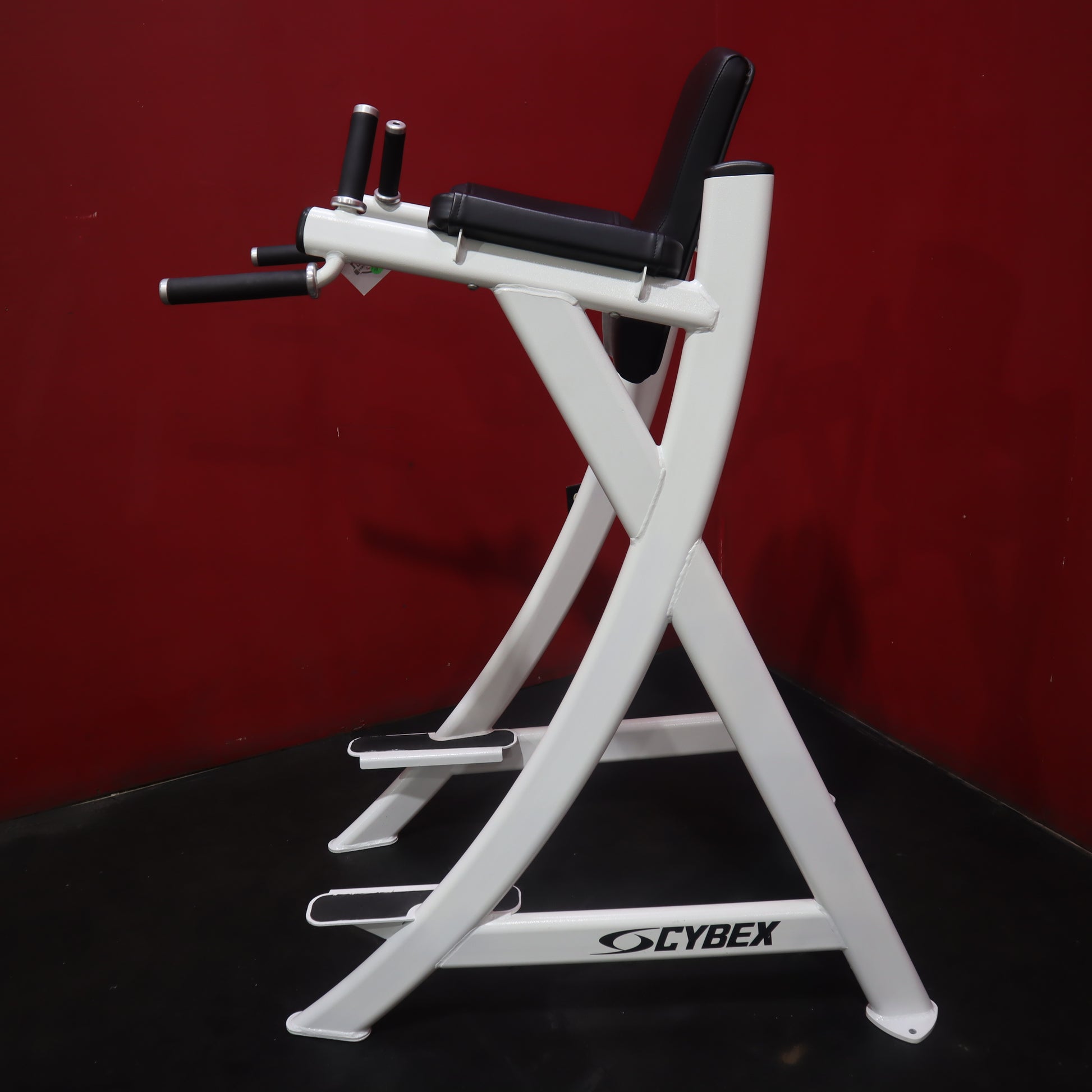 Cybex VKR Dip & Leg Raise (Remanufactured)