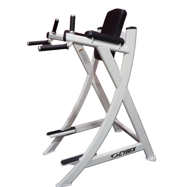 Cybex VKR Dip & Leg Raise (Remanufactured)