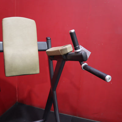 Cybex VKR Dip & Leg Raise (Remanufactured)