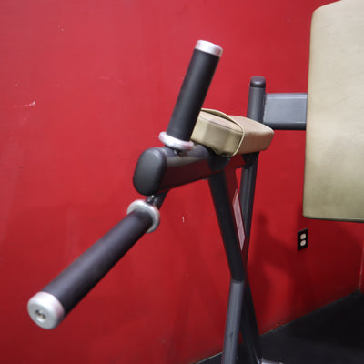 Cybex VKR Dip & Leg Raise (Remanufactured)
