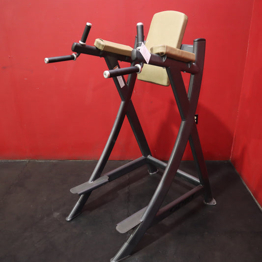 Cybex VKR Dip & Leg Raise (Remanufactured)