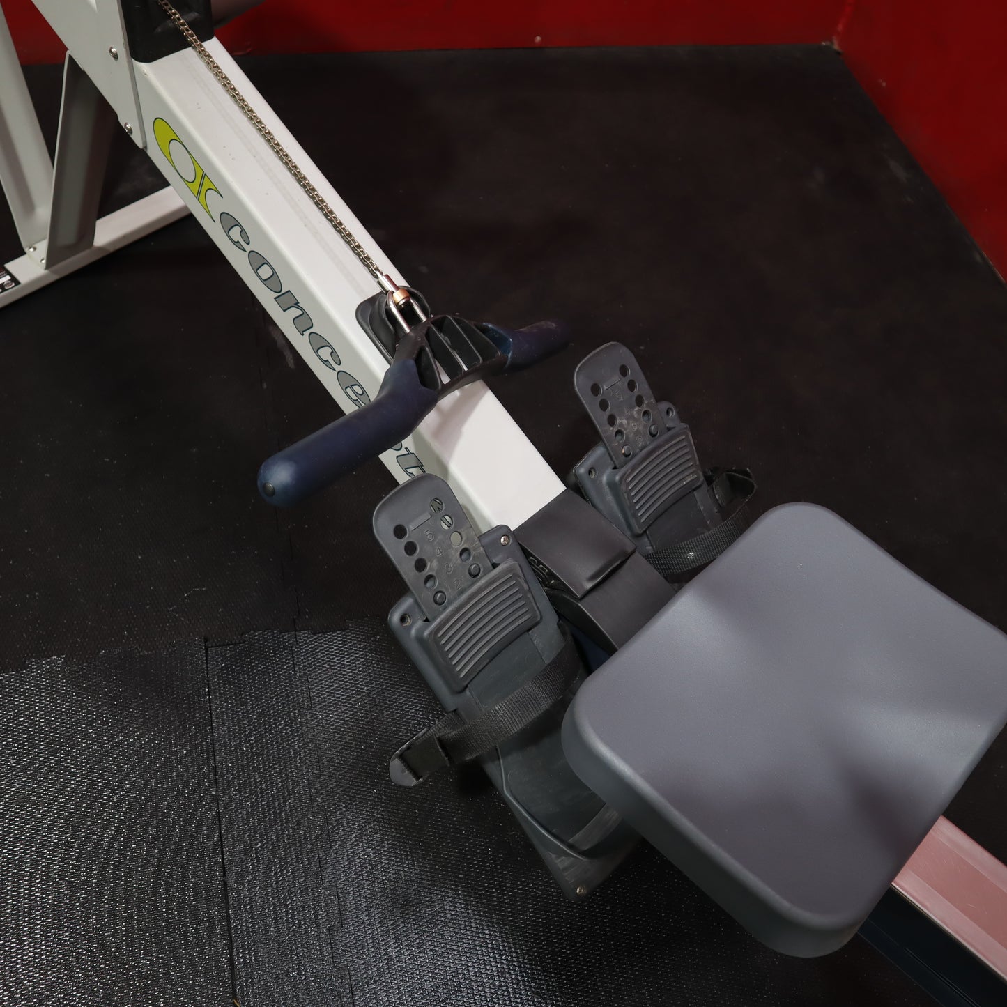 Concept 2 Model D w/ PM5 Rower (Refurbished)