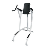 Cybex Classic VKR Leg Raise / Dip Chair (Remanufactured)