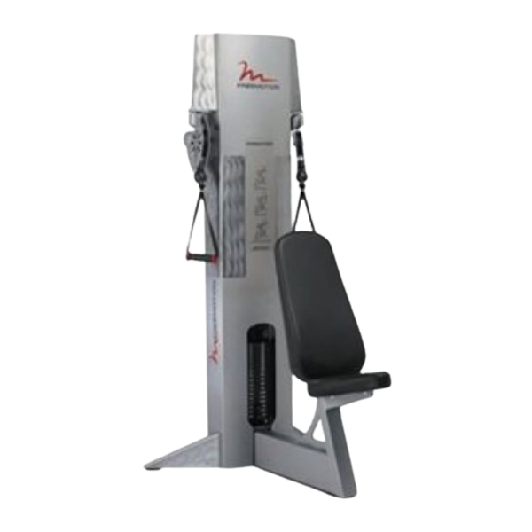 FreeMotion Overhead Tricep (Remanufactured)
