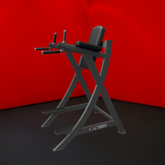 Cybex VKR Dip & Leg Raise *Black Frame & Tan Upholstery* (Remanufactured)
