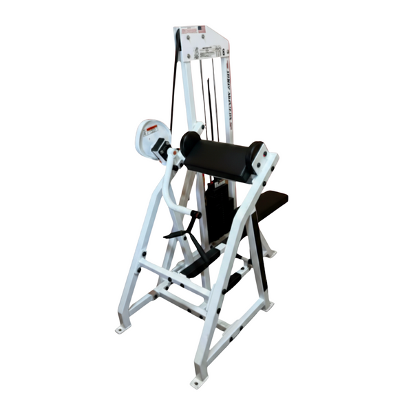 Body Masters 410 Arm Curl Machine (Remanufactured) CTX Home Gyms