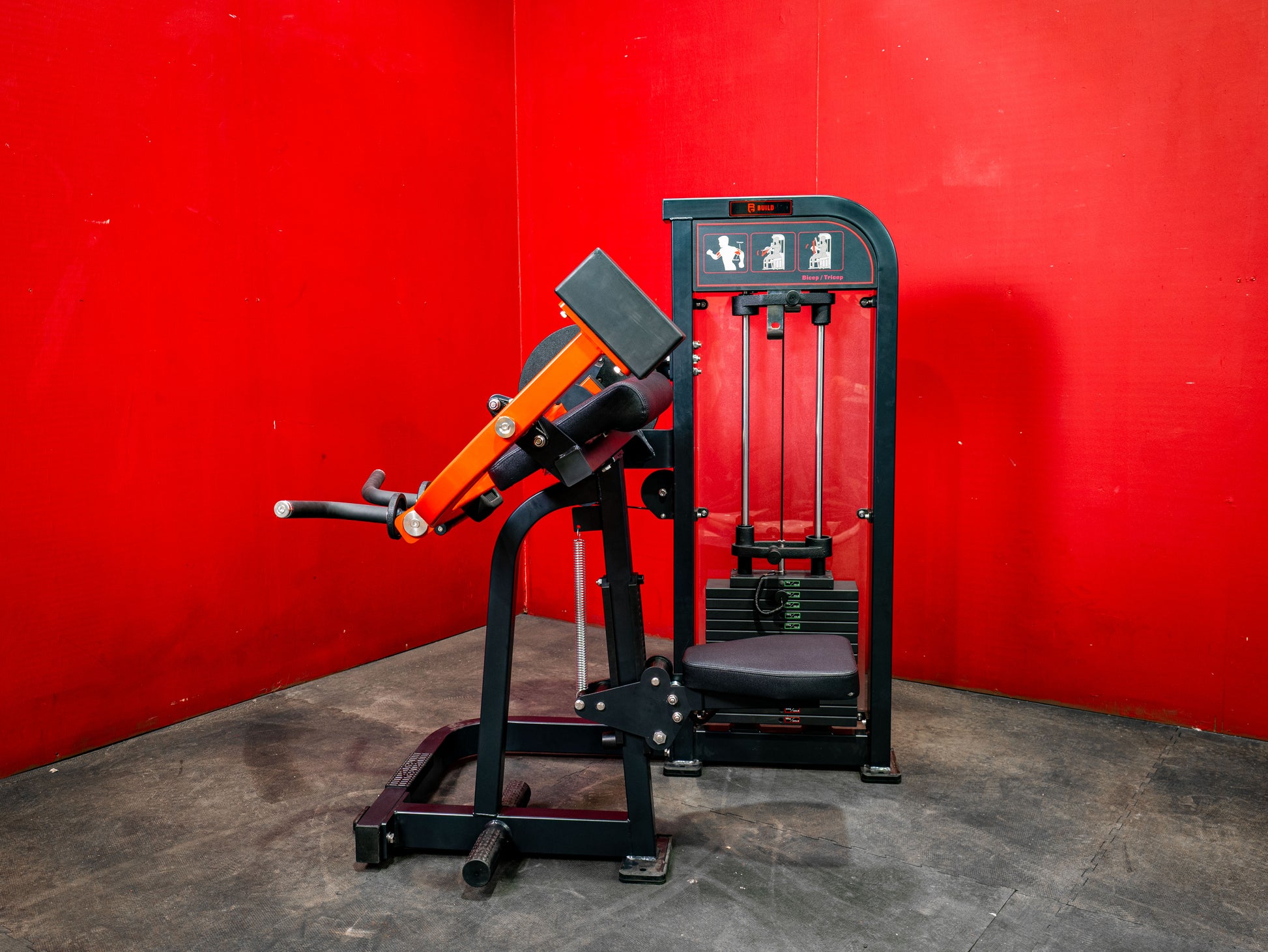 BUILD Biceps Triceps Combo (New)