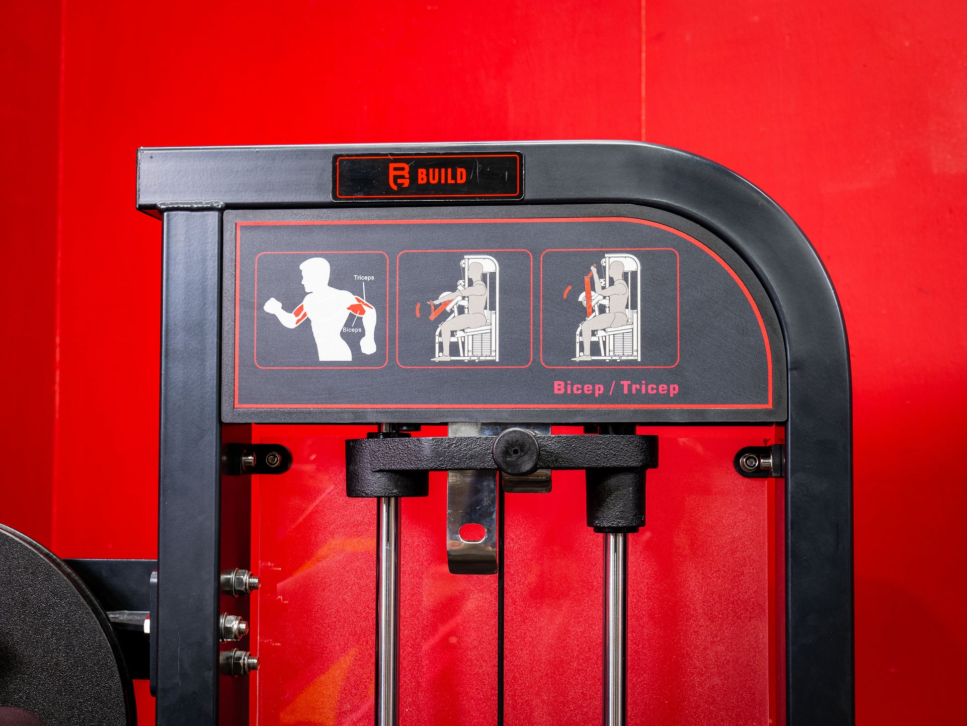 BUILD Biceps Triceps Combo (New)